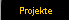 Projekte